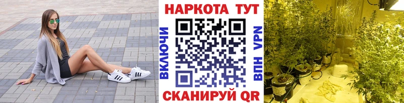 ГАШ Люберцы