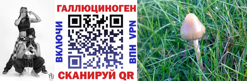 даркнет сайт  Люберцы  Псилоцибиновые грибы MAGIC MUSHROOMS 